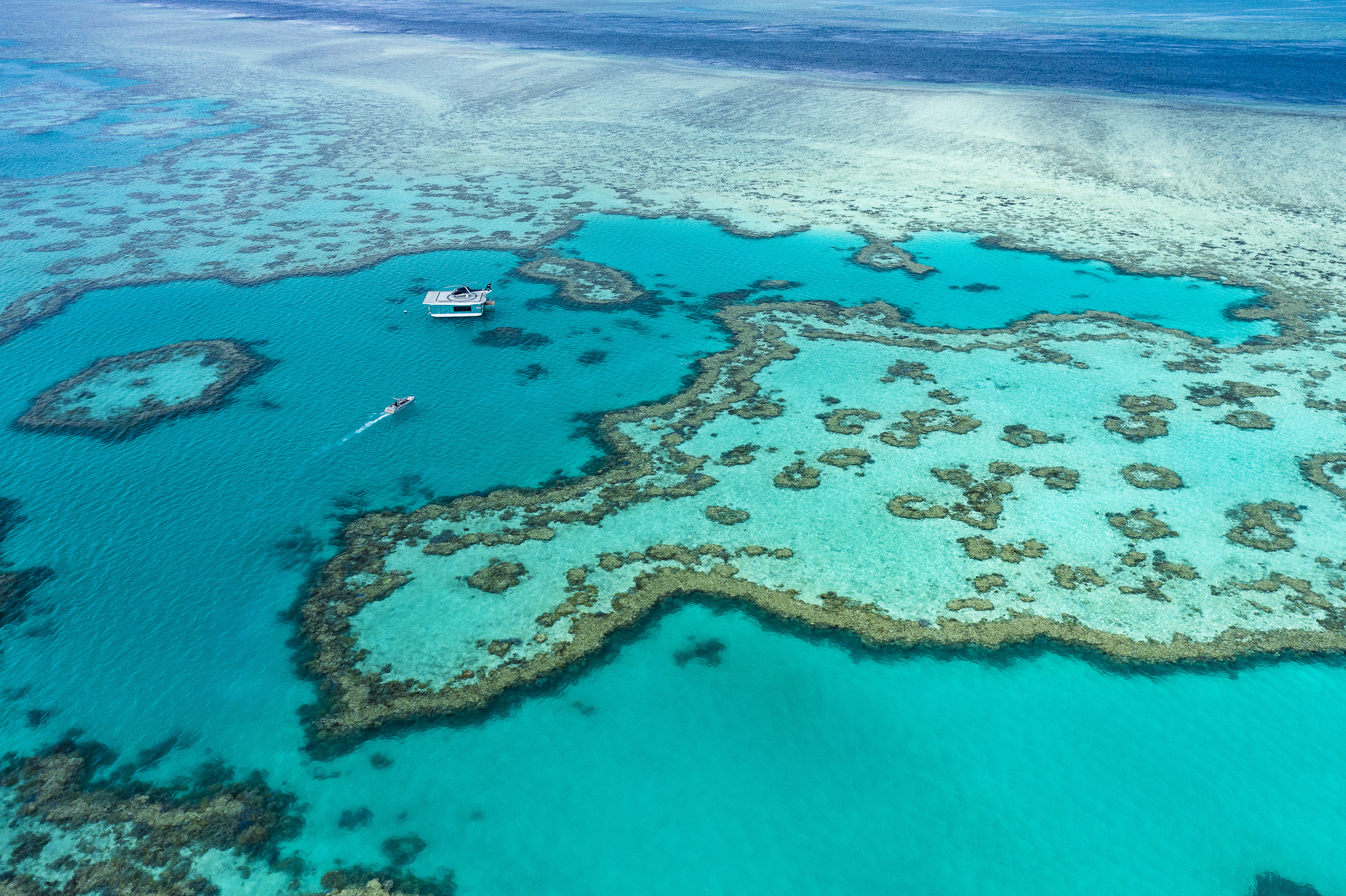 Great Barrier Reef Guide: A First-Timer’s Guide To Exploring The Great ...