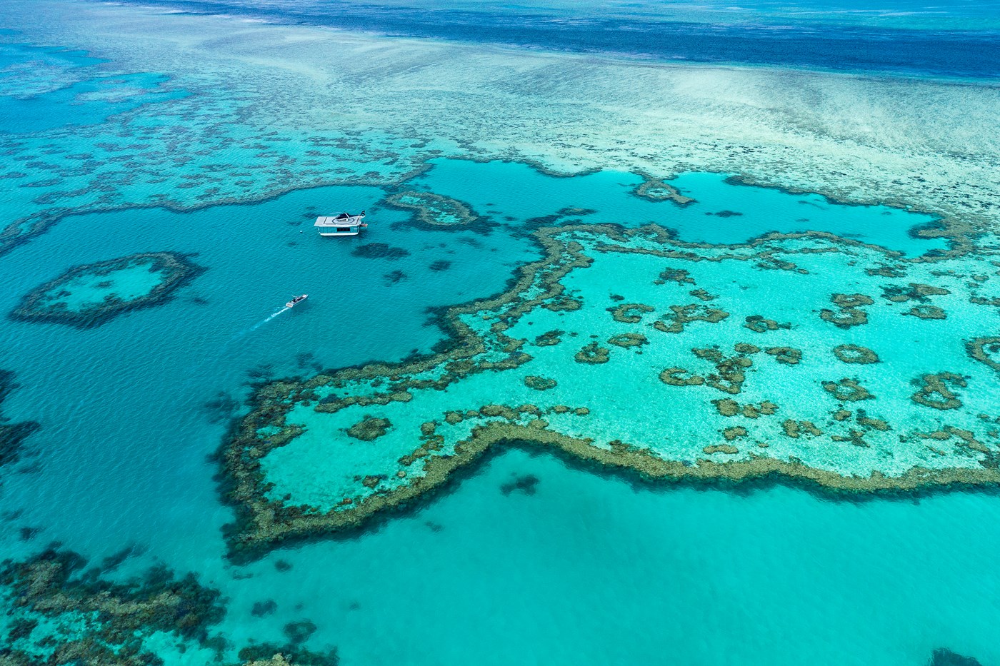 great barrier reef tours for elderly