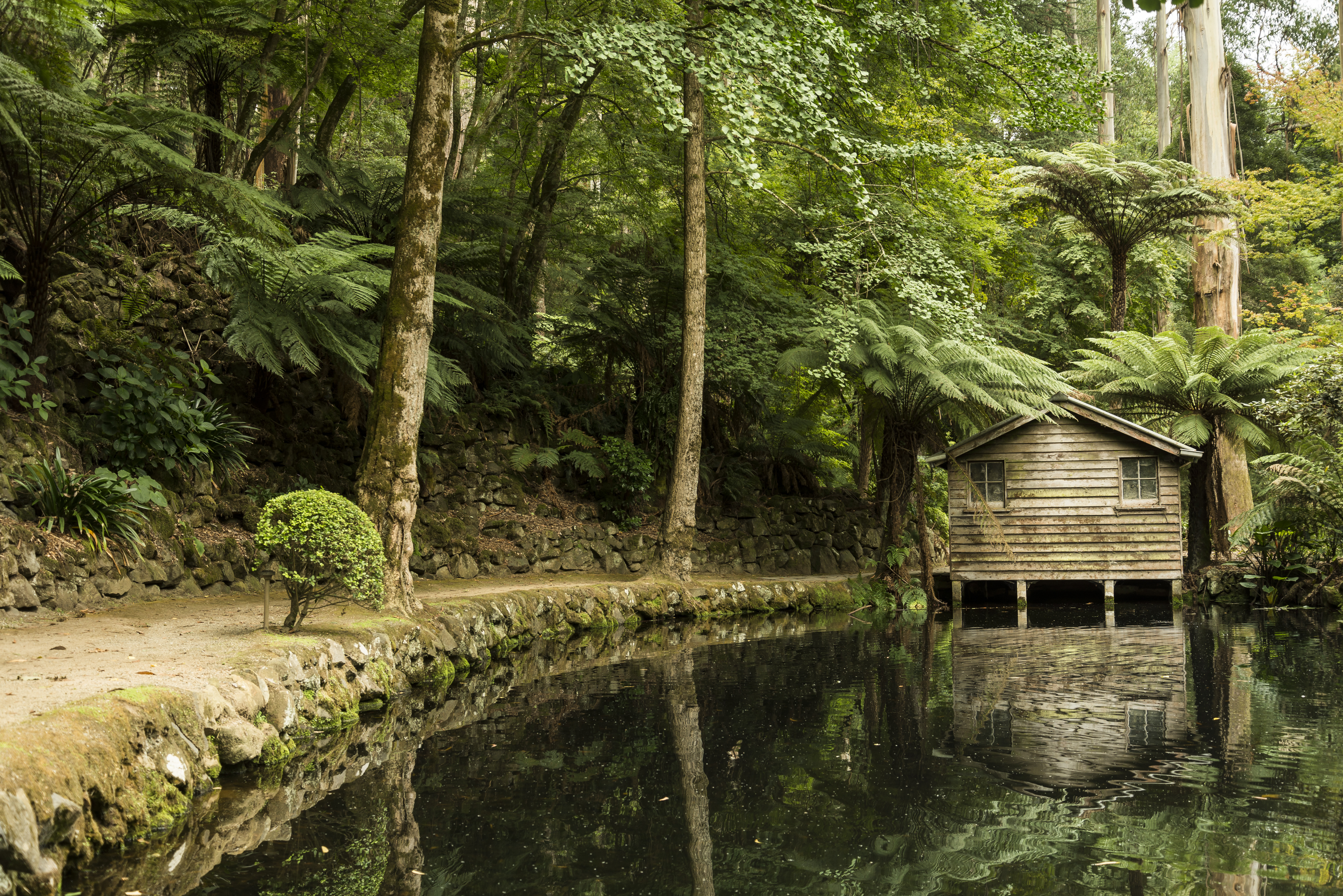 The Best Walks In The Dandenong Ranges To Try This Weekend Sitchu   132345 