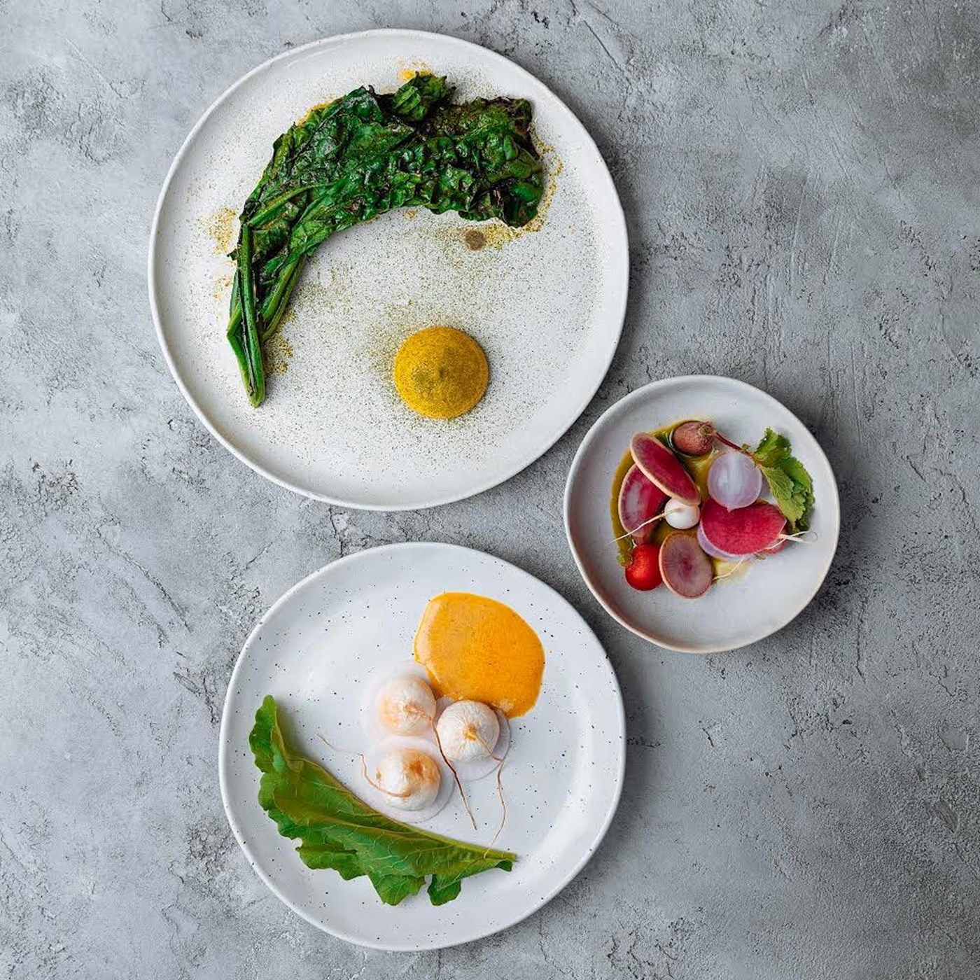 Three artfully presented vegetable dishes against concrete with the photo taken from above 