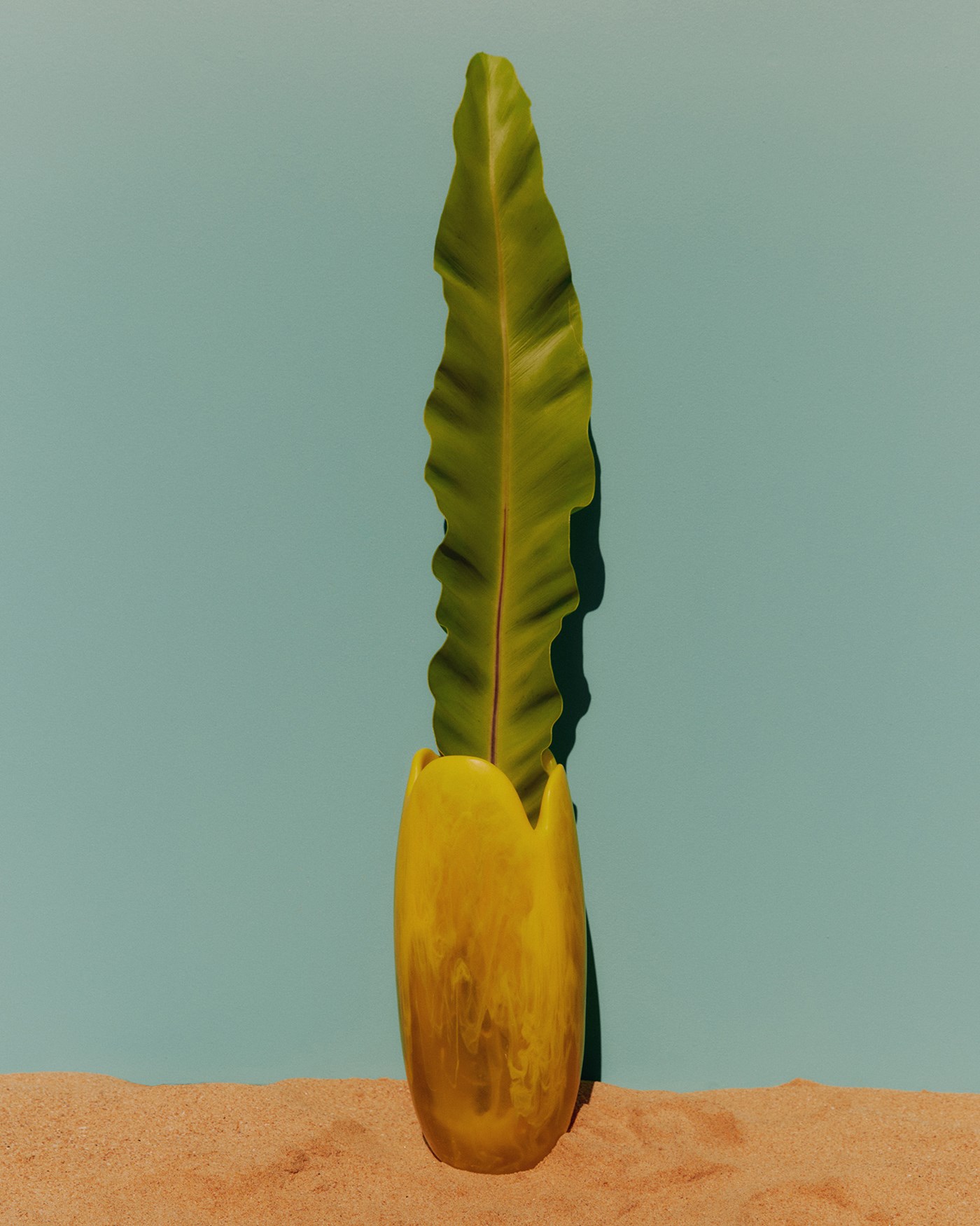 A yellow resin vase with a long leaf sticking out sitting on some sand