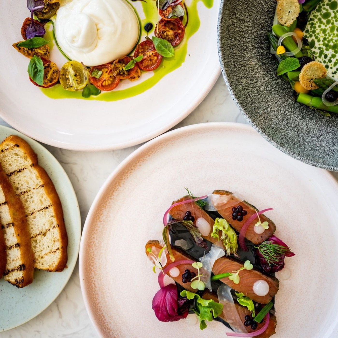 Four plates on a table, featuring fresh seafood, bread, burrata and vegetables.