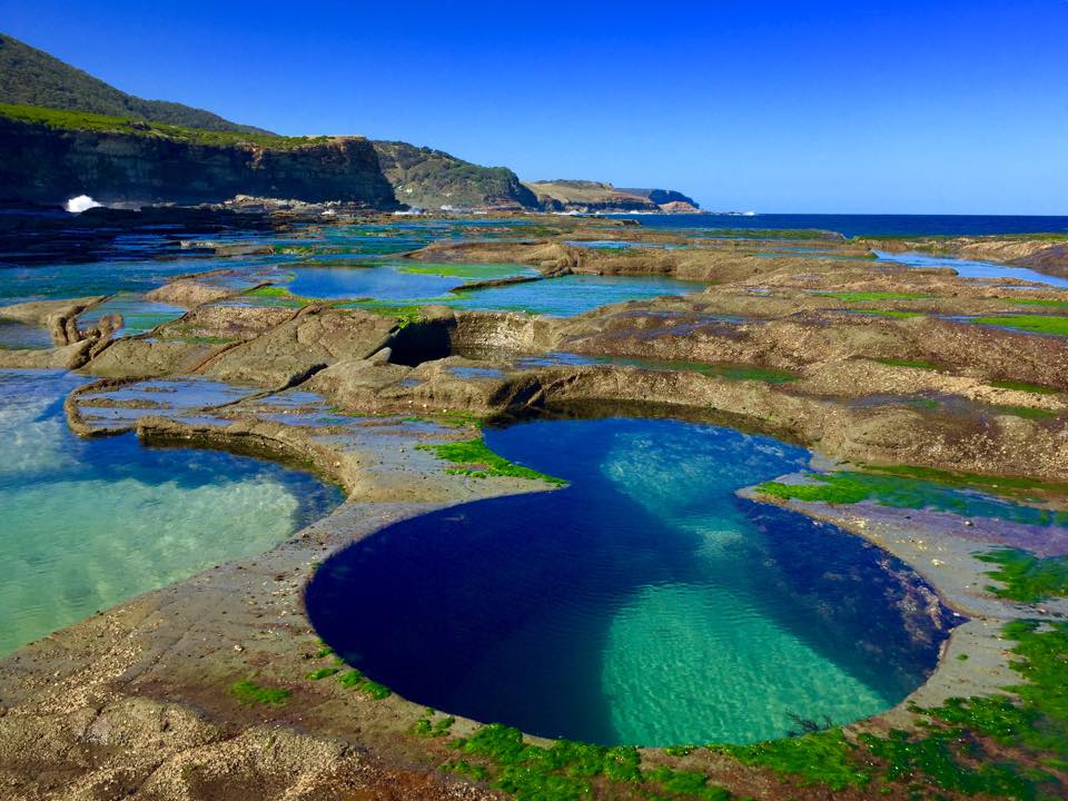 Best hikes on sale royal national park