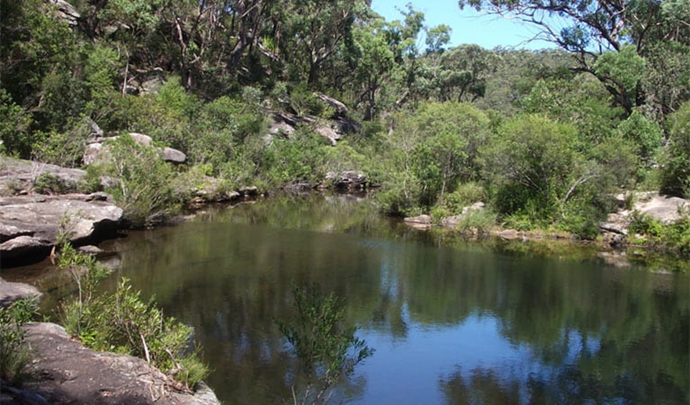 The Best Royal National Park Walks to Tackle this Weekend | Sitchu Sydney