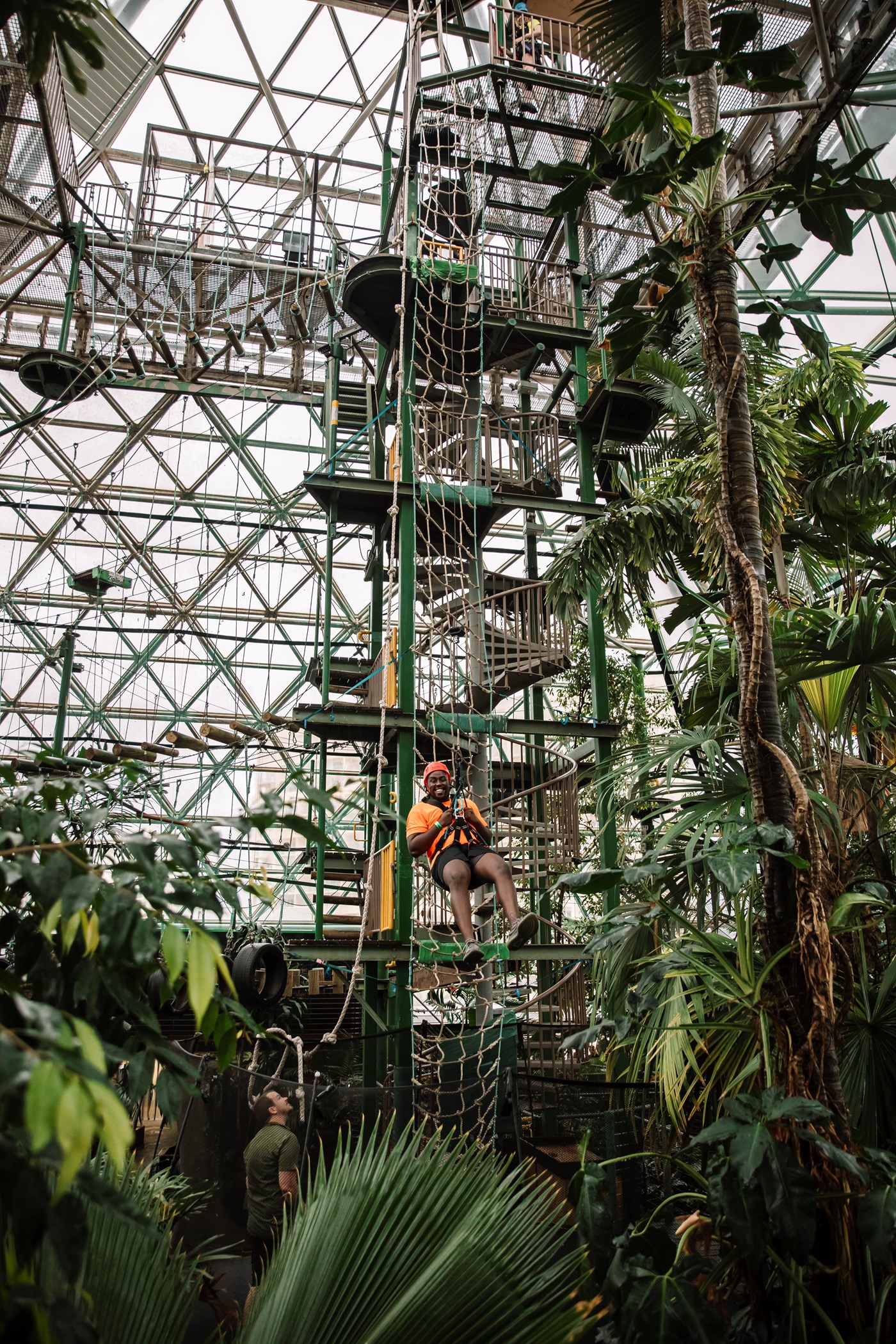 A person abseiling through the rainforest and wildlife dome in Cairns