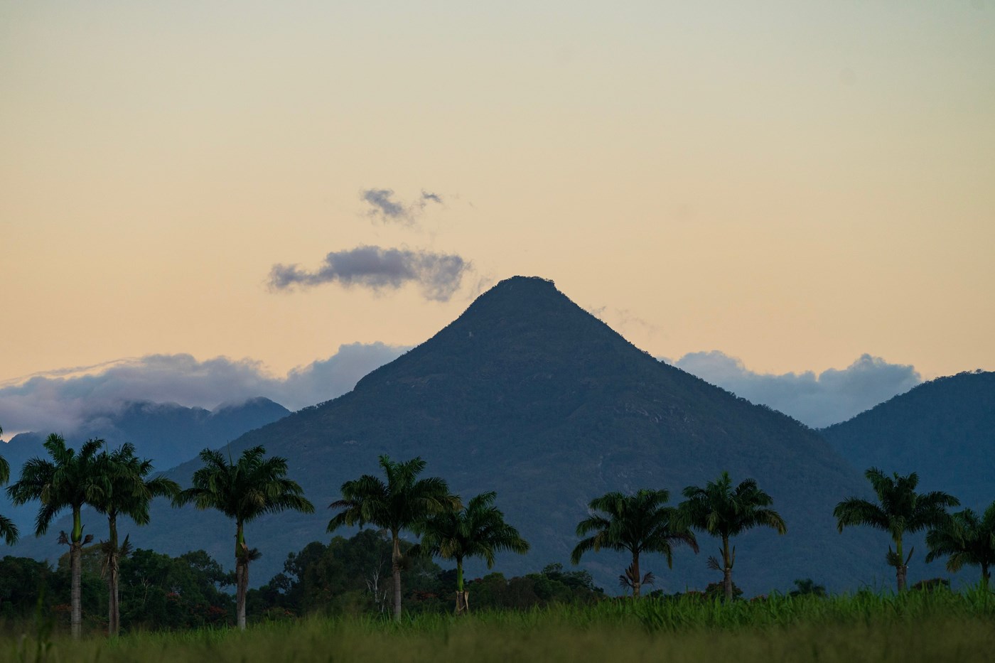 A far off view of a pyramid shaped mountain with palm trees in the foregound