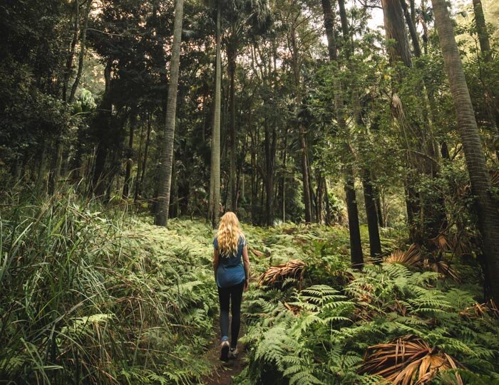 Royal national park outlet overnight hike