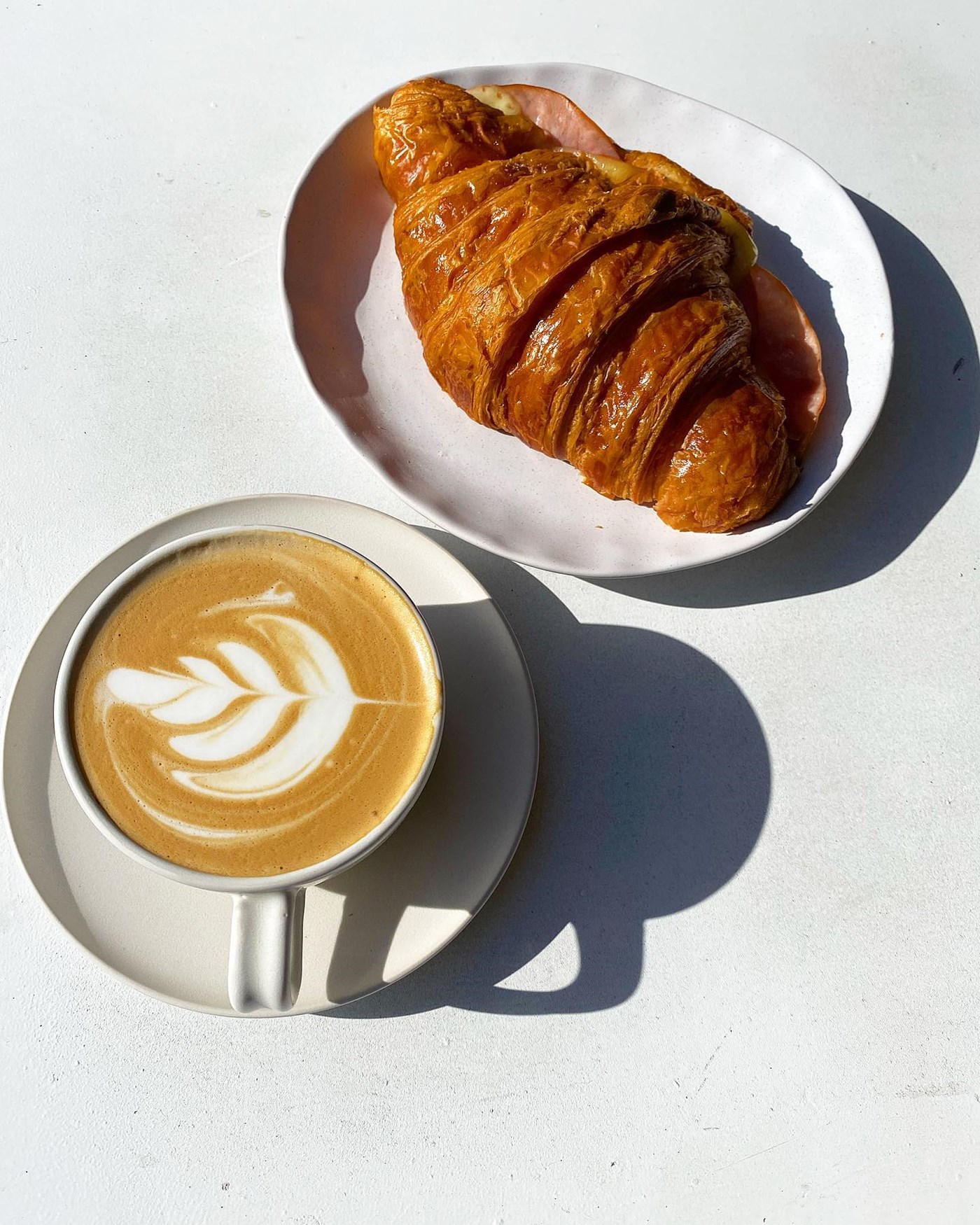 The Best Cafés in Glebe for Coffee & Brunch | Sitchu Sydney