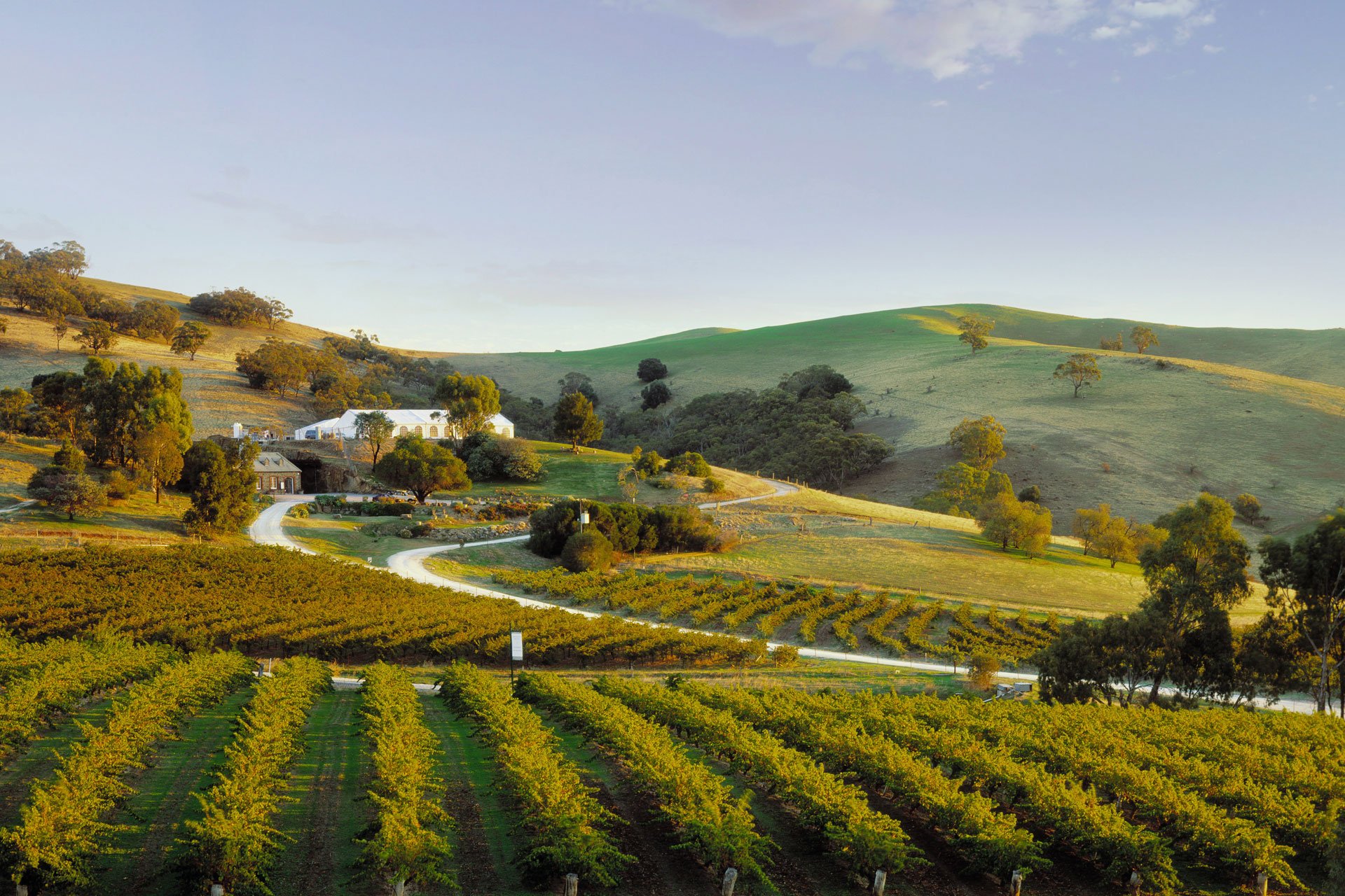 The Best Wineries in Barossa Valley to Swill Sip Your Way Around