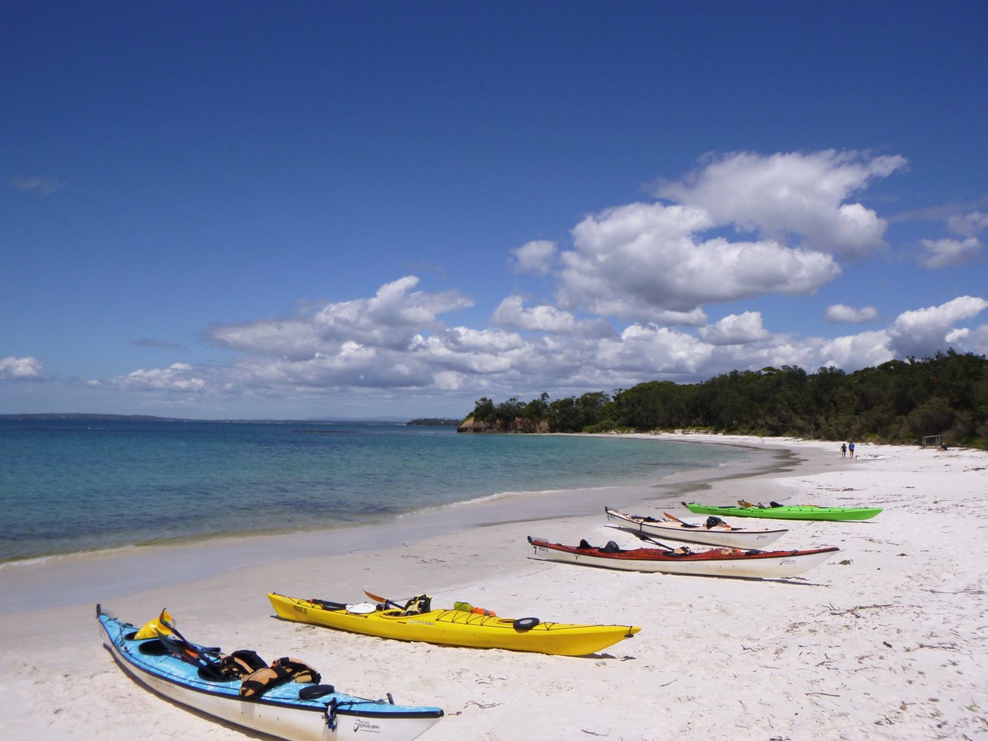 Different coloured kayaks lined up on a white sandy beach