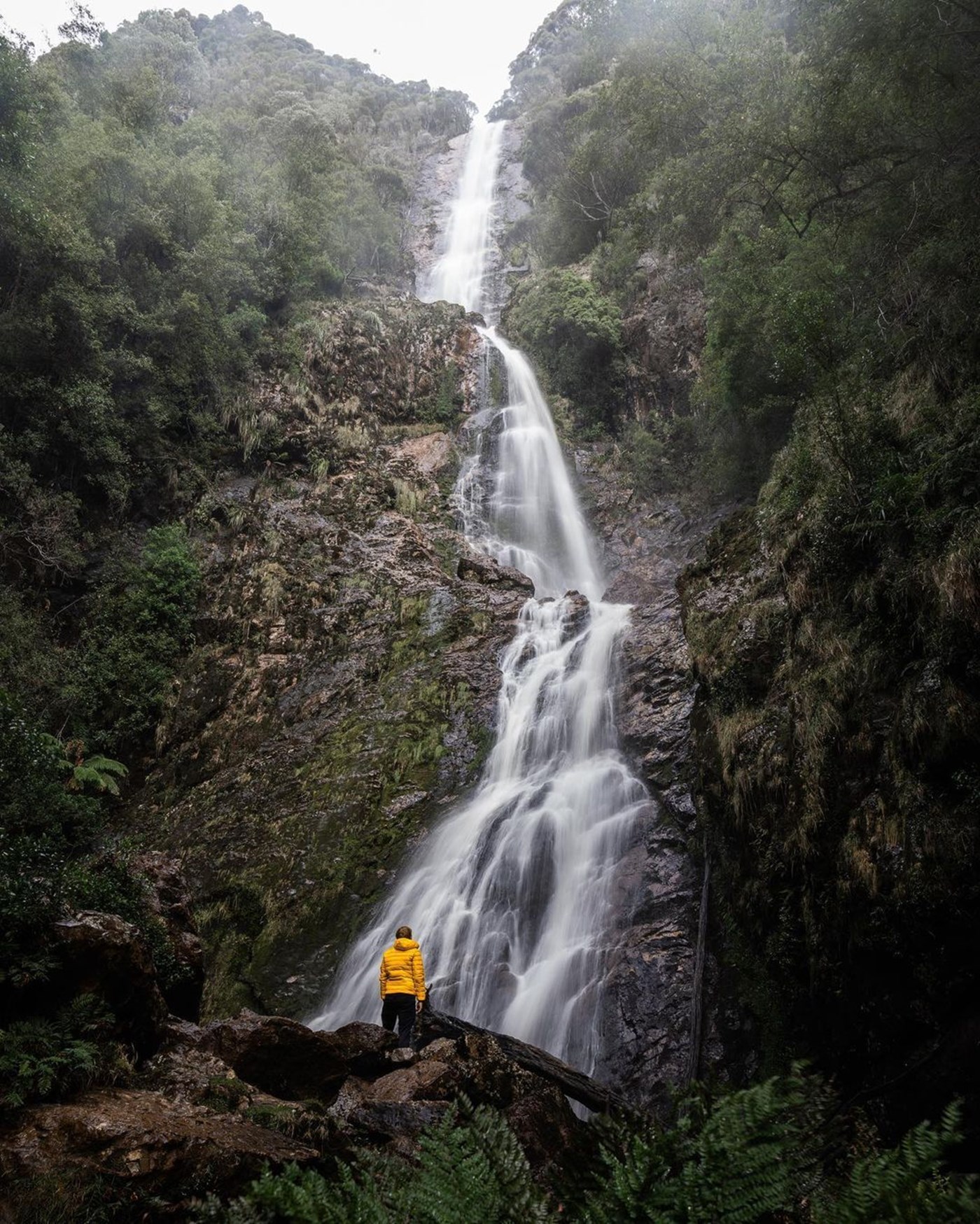 Montezuma Falls (Photo credit: @benjamin.trickey)
