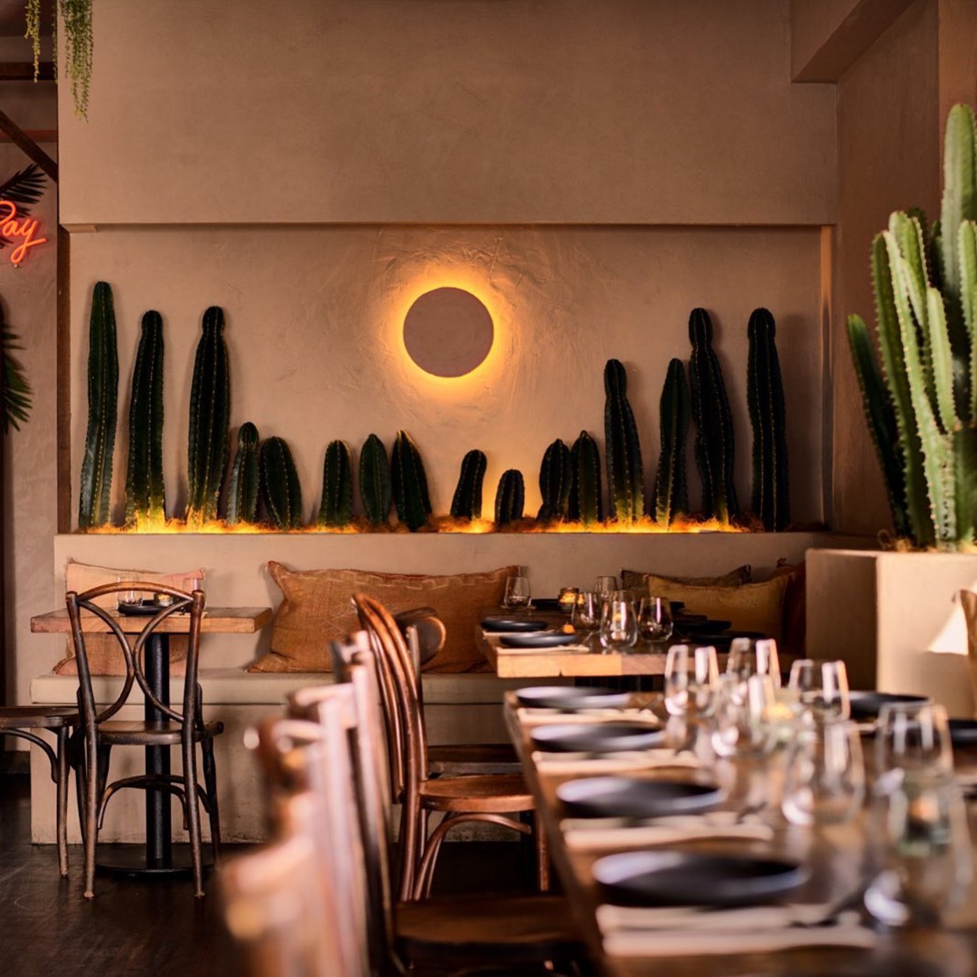 Interiors with rows of chairs and an accent wall with cacti and round light at Casa Luna Bryon Bay