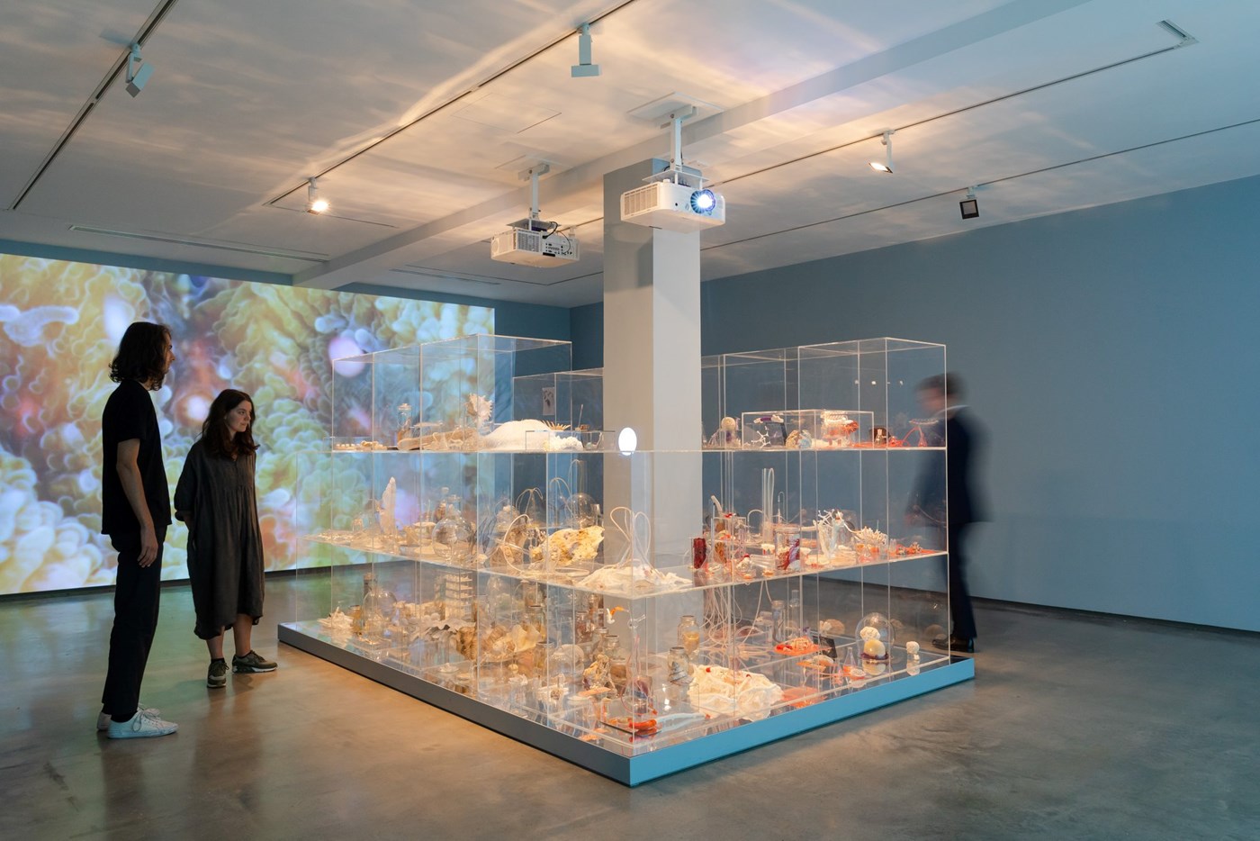 Janet Laurence, ‘Deep Breathing Resuscitation for the Reef’, 2015–16  2019, installation view, ‘Janet Laurence After Nature’, Museum of Contemporary Art Australia, Sydney, 2019, image courtesy and © t