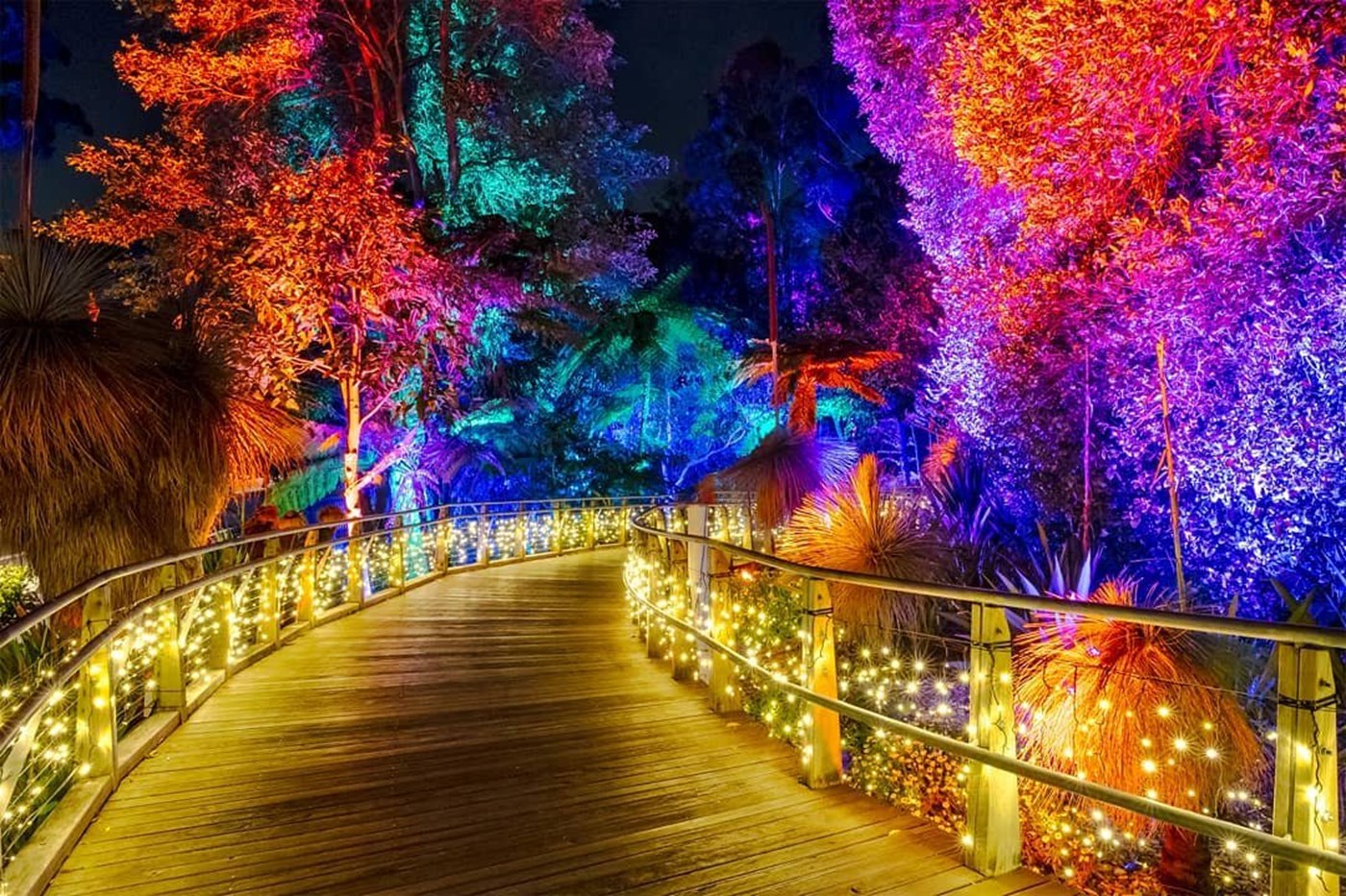 The Best Christmas Lights In Brisbane To Spark Festive Vibes Sitchu Brisbane