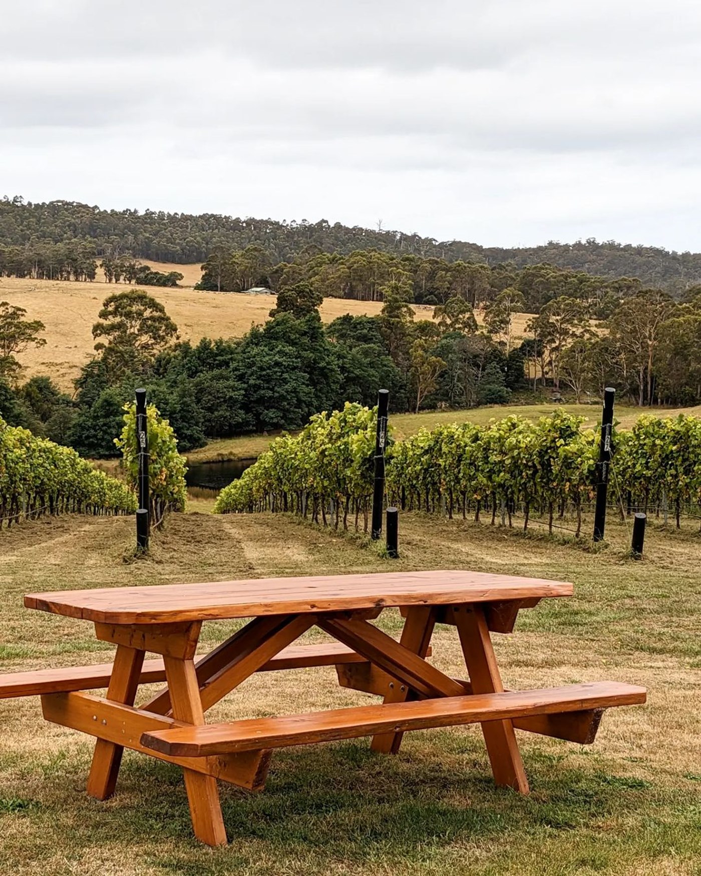 Priory Ridge Wines in St Helens Tasmania