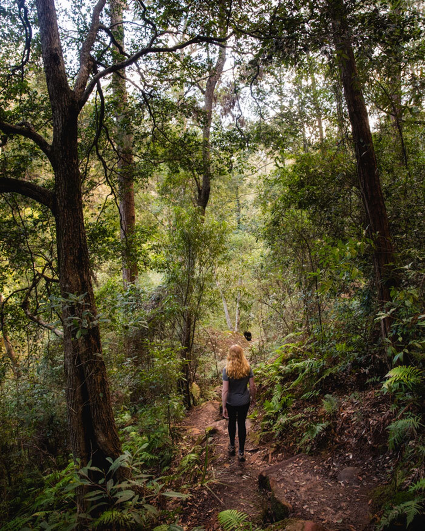 The 10 Best Central Coast Walks With Stunning Views | Sitchu Sydney