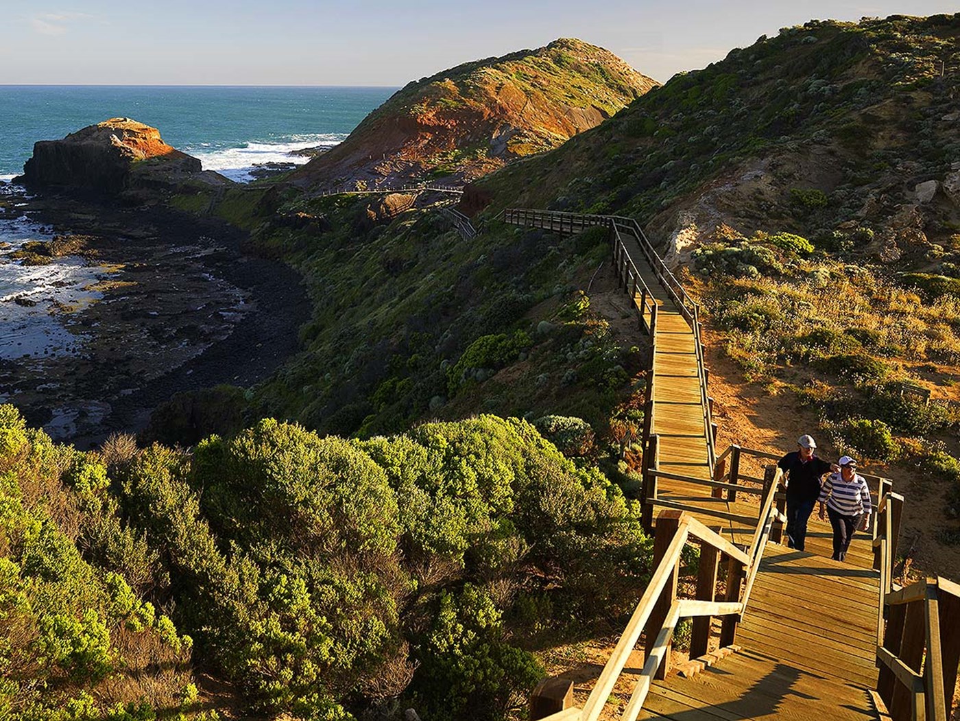 The Best Hikes Near Melbourne: Stunning Walks Across Victoria | Sitchu