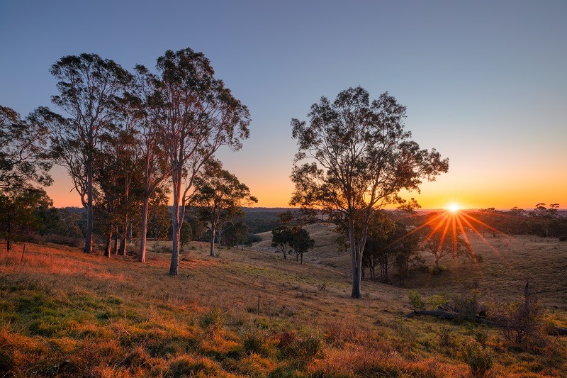 The Best Western Sydney Parklands’ Walks To Try This Weekend | Sitchu ...