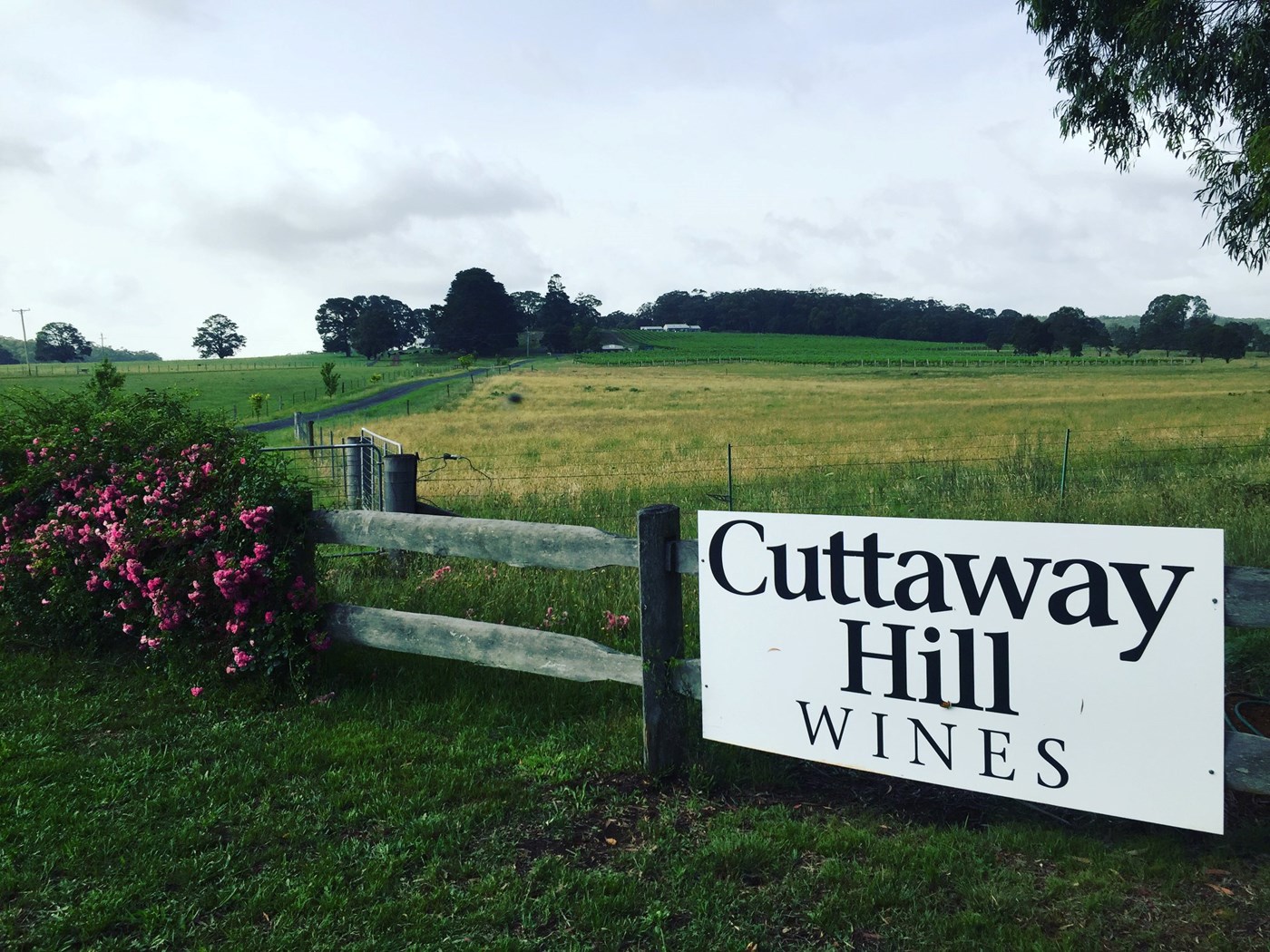 Cuttaway Hill Wines