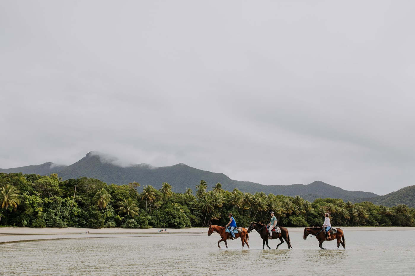  Cape Trib Horse Rides