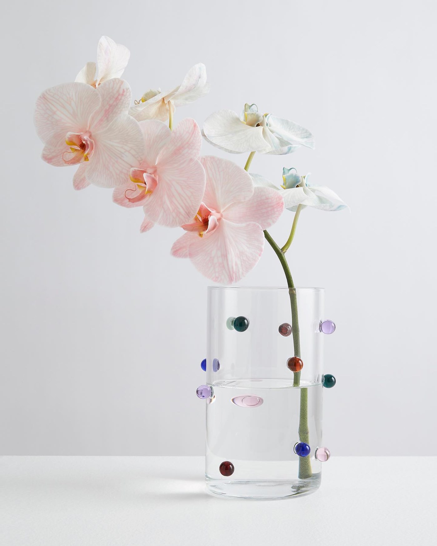A glass Maison Balzac vase with various coloured glass dots attached to it. Sitting inside is a pastel pink orchid 