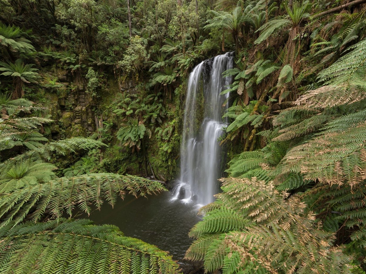 Cheshunt - Paradise Falls and Little Falls - North East - Outside