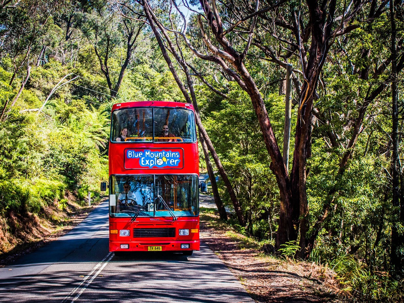 Blue Mountains Explorer Bus (Photo credit: Destination NSW)