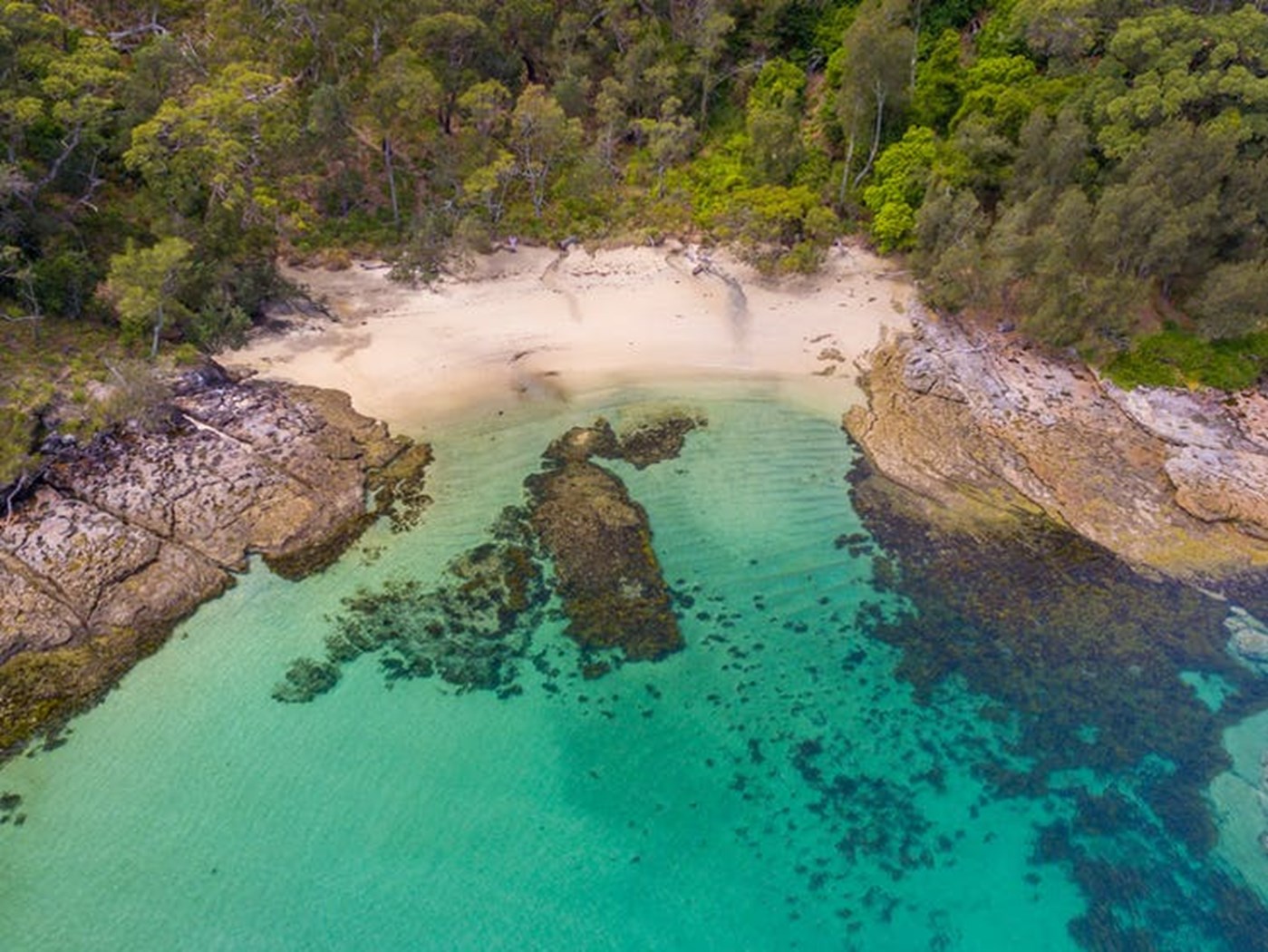 An aerial view of crystal clear waters backing onto a white sand beach and bushland 