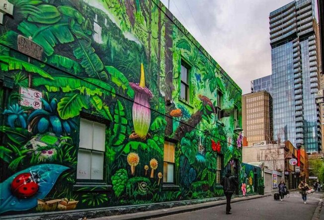 Melbourne Street Art: A Graffiti Lover’s Must-See Guide | Sitchu Melbourne