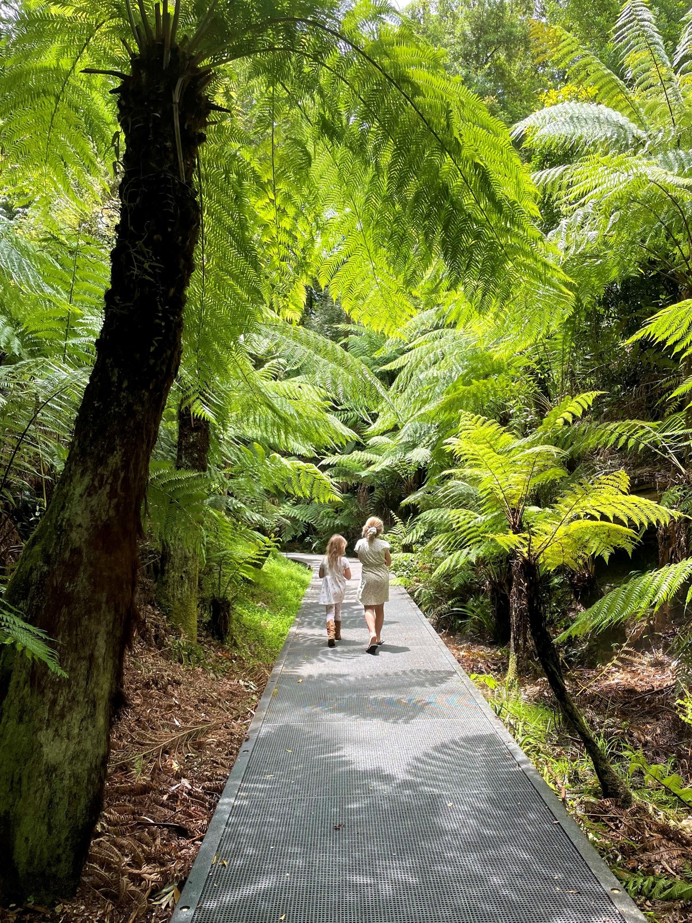 Two young girls walk along a footpath surrounded by green fronds at the Australian National Botanic Gardens Canberra