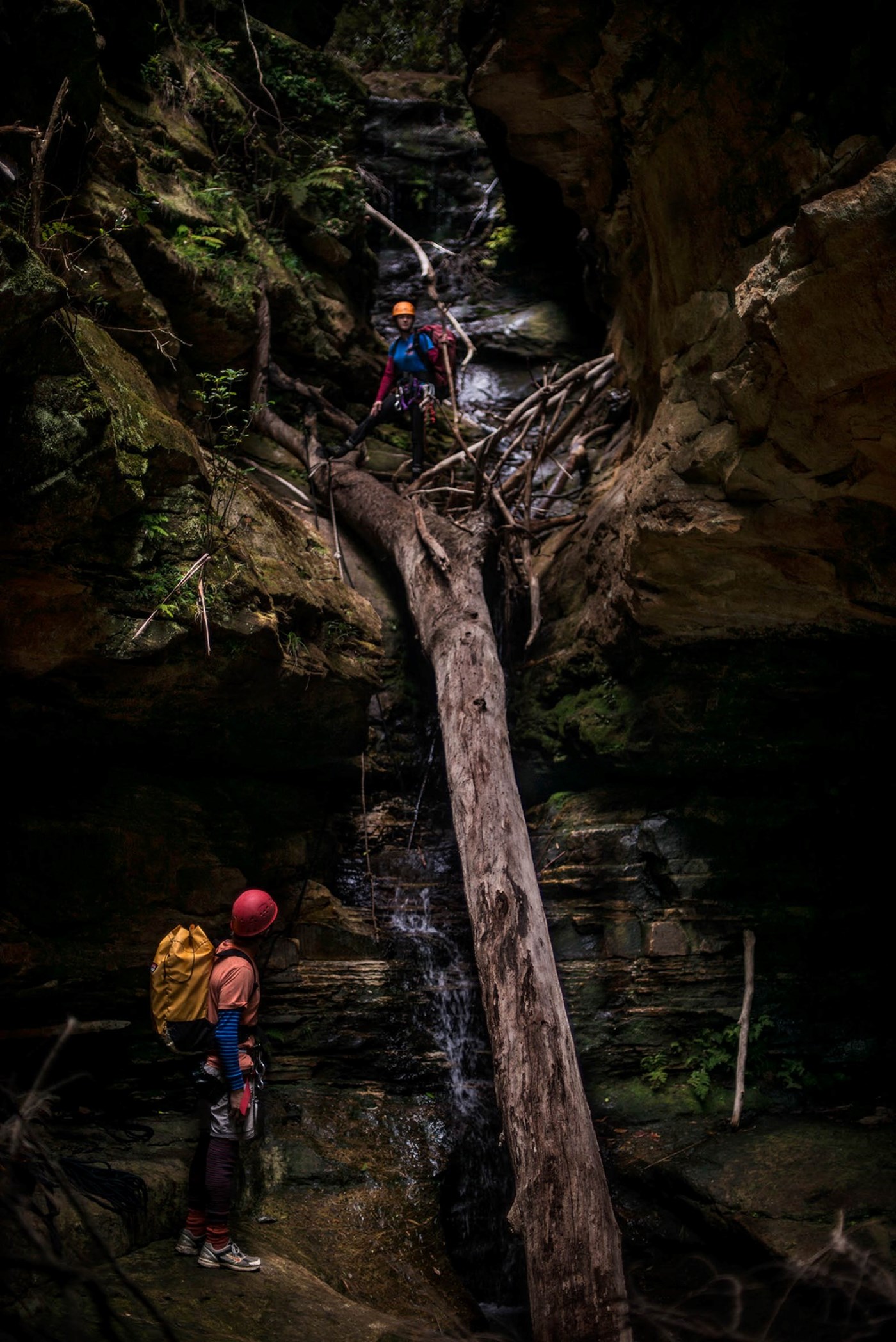 Canyoning, Blue Mountains Adventure Company