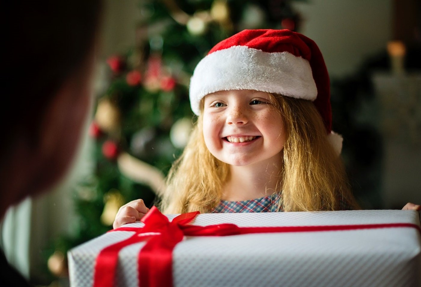 Volunteer in Sydney 7 Ways to Give Back This Christmas Sitchu Sydney