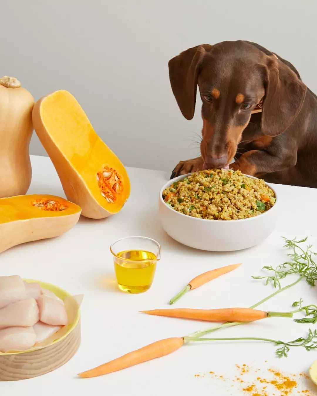 The Best Australian Made Dog Food Brands For Healthy Pups