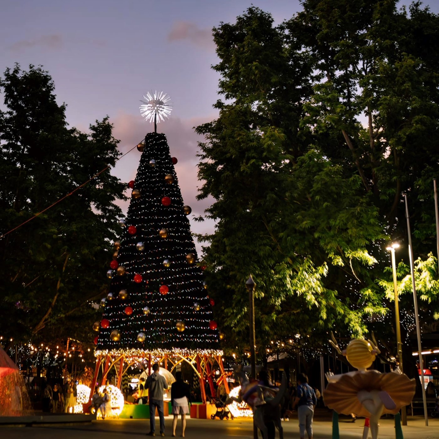 The Best Christmas Lights in Canberra & Exactly Where to Find Them