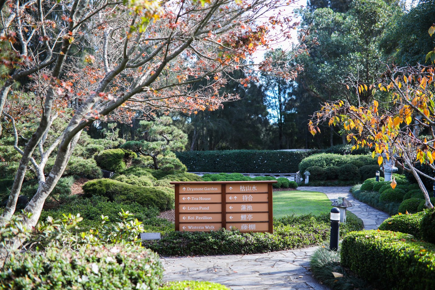 Edogawa Japanese Garden
