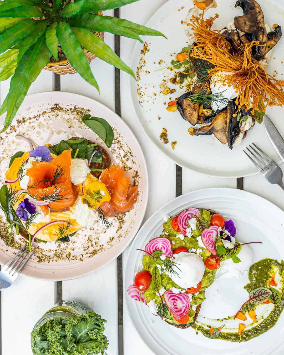 The Best Cafes in Sydney | Sitchu Sydney