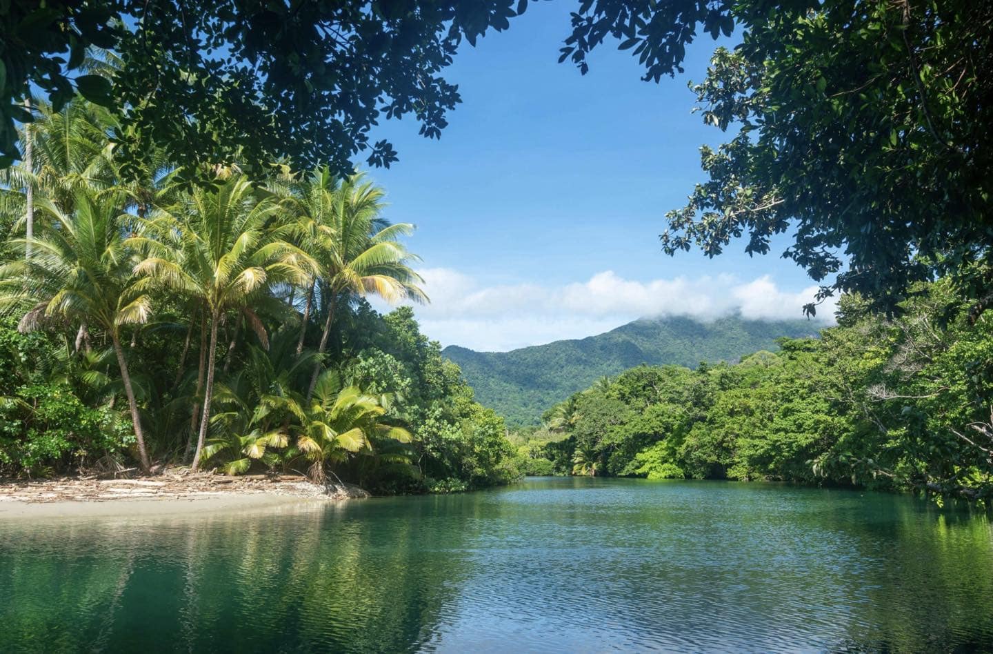 The 12 Best Rainforests in Australia to Add to Your Bucket List