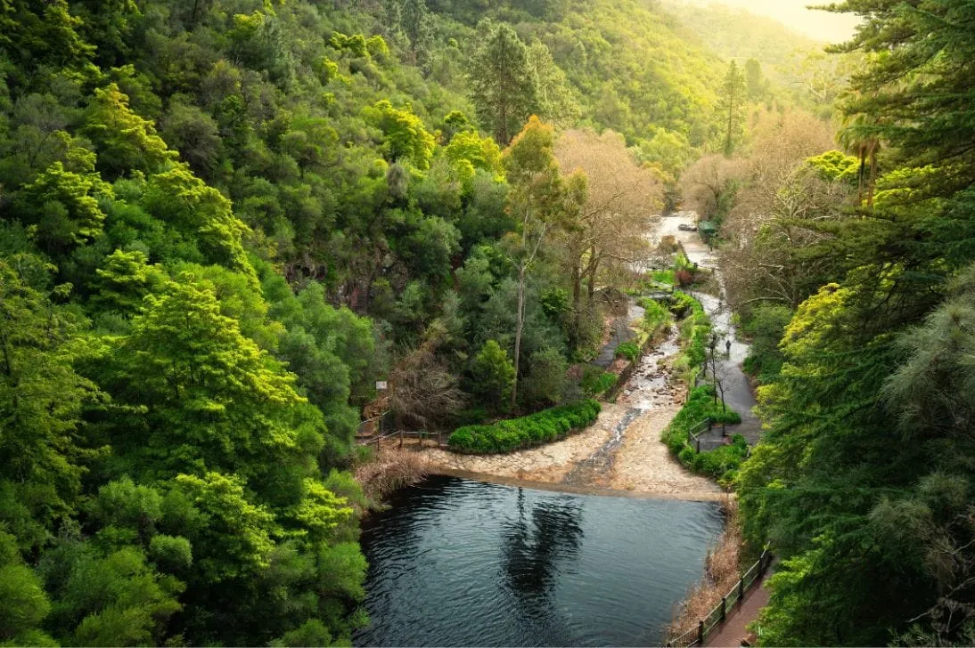 The Best Walks in Adelaide to Add to Your Rotation