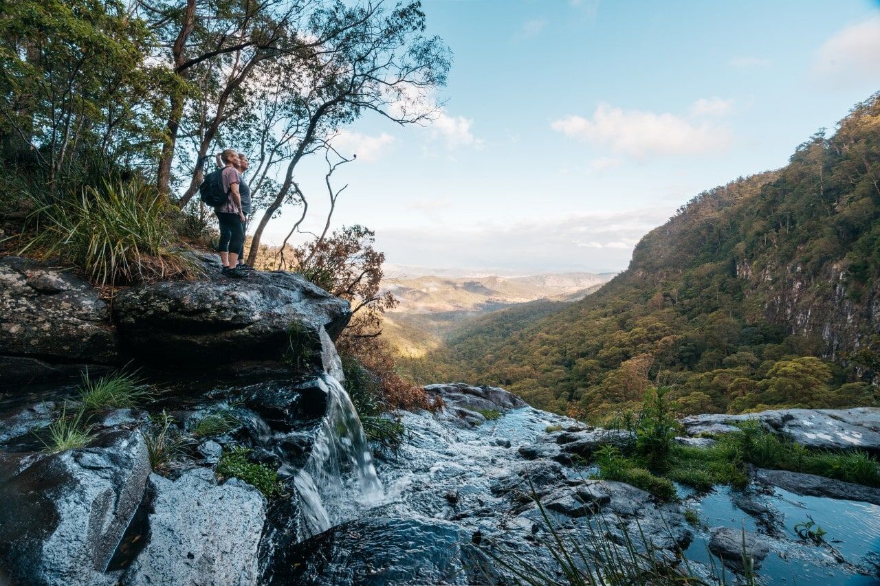 The 12 Best Rainforests in Australia to Add to Your Bucket List