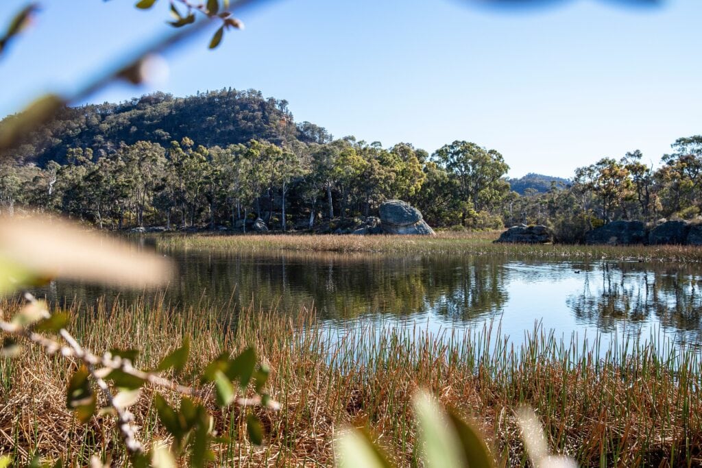 Scenic views across Dunns Swamp - Ganguddy in Wollemi National Park. (Image Credit: Destination NSW).
