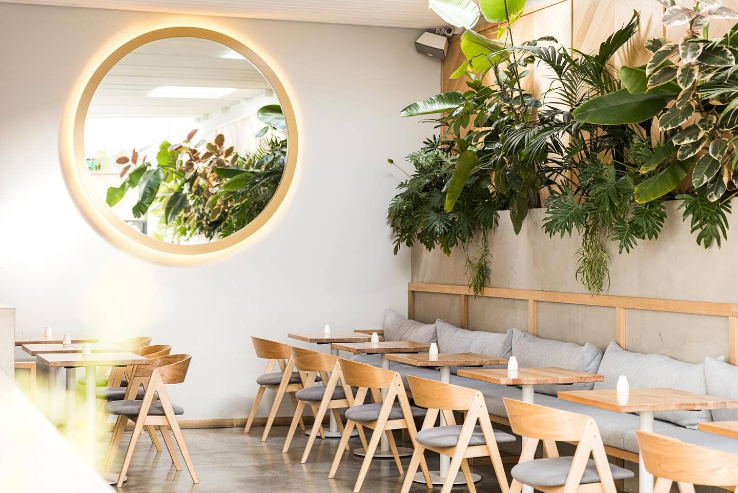 born in brunswick hobart (3)