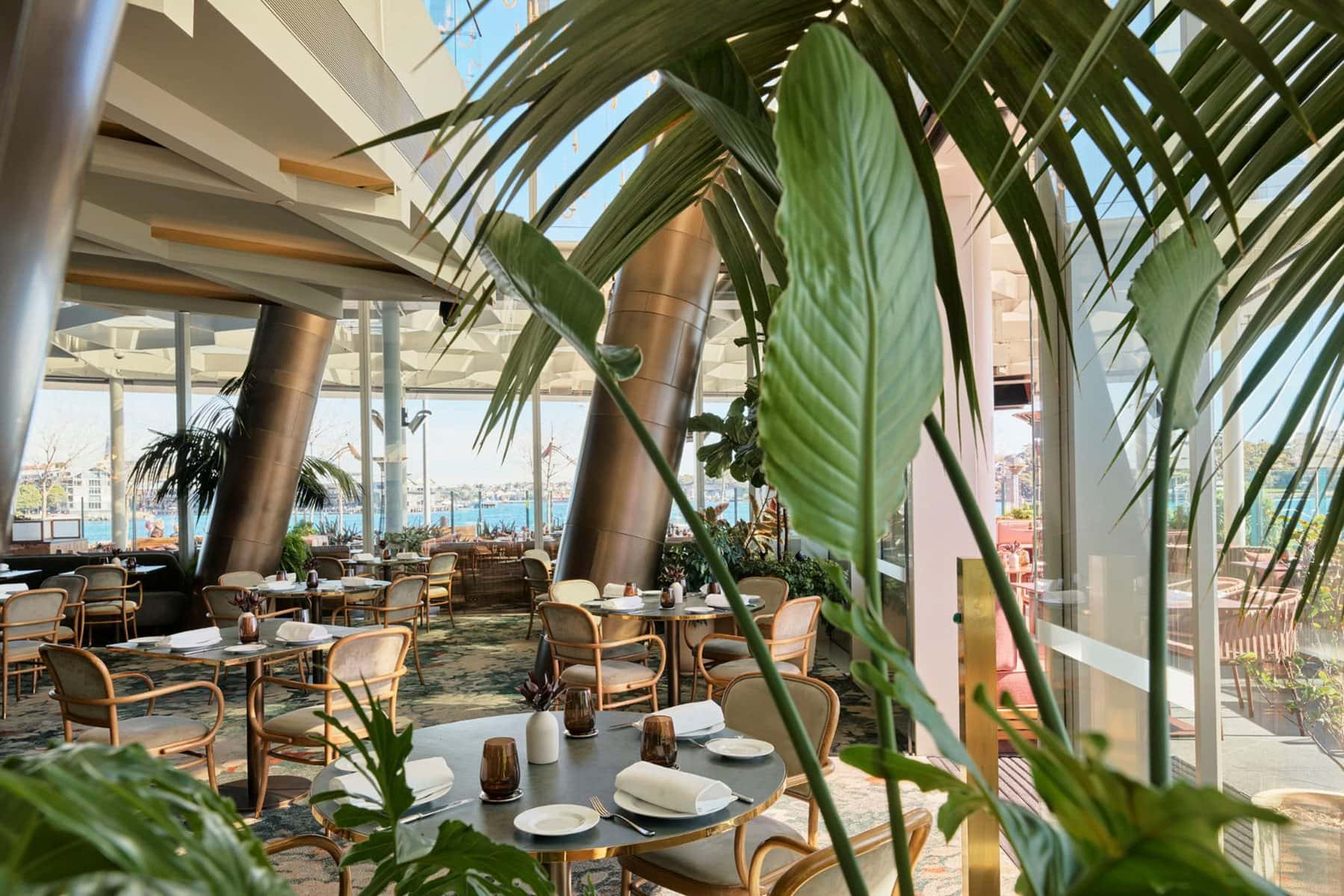 The oceanfront dining room at a'mare in barangaroo featuring palms and greenery in the foreground.