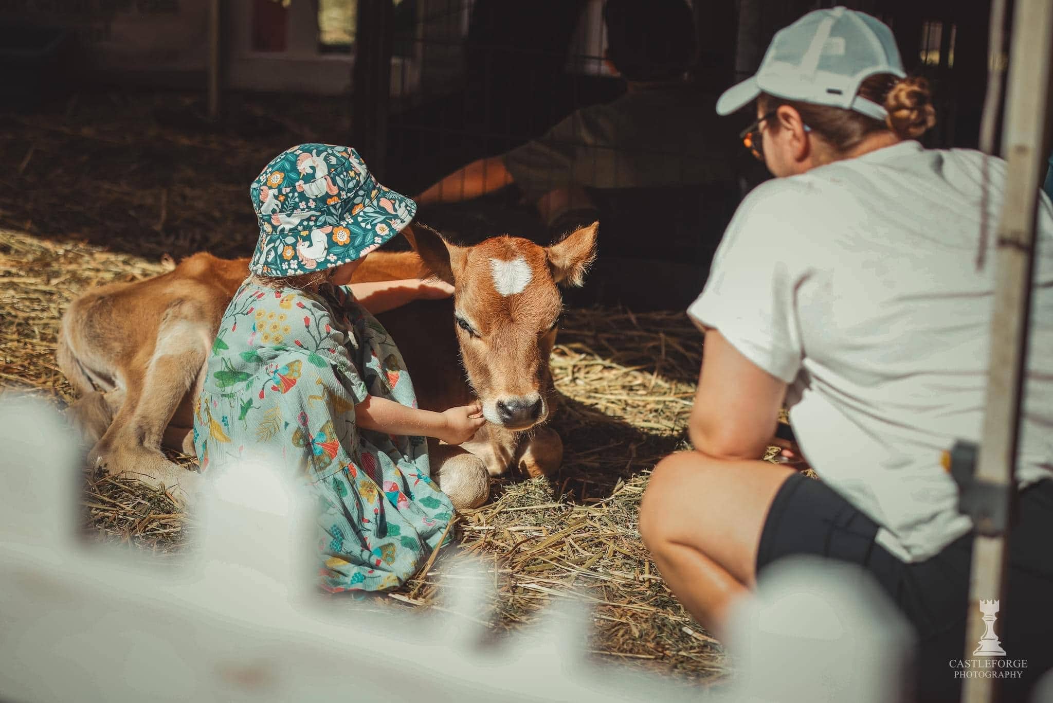 meadows easter fair petting zoo easter long weekend adelaide