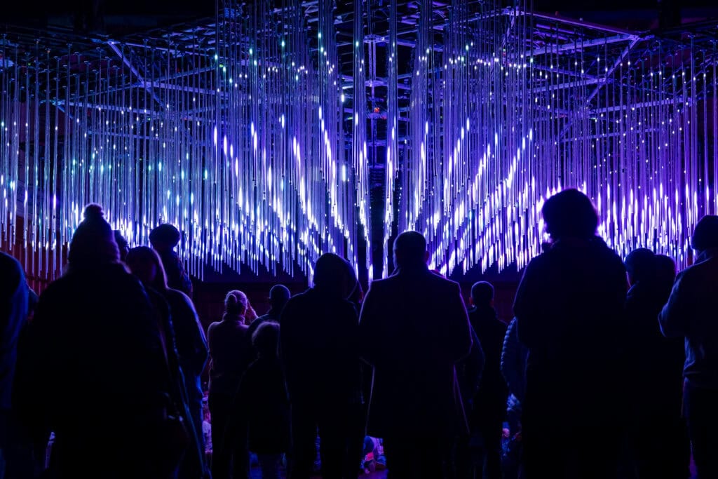 Somni Us for City Lights Illuminate Adelaide 2025.
