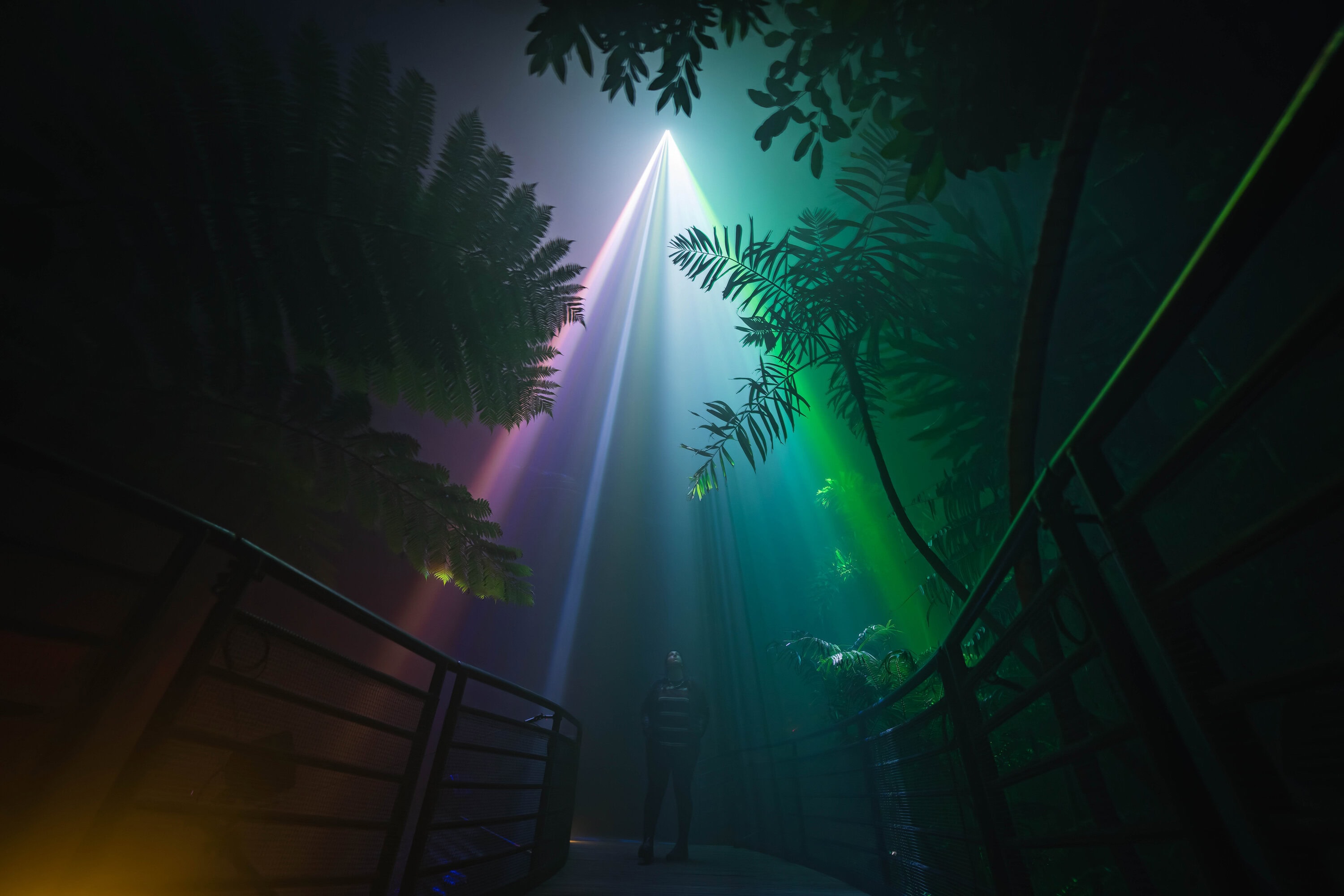 Night Visions 2025 at Illuminate Adelaide.