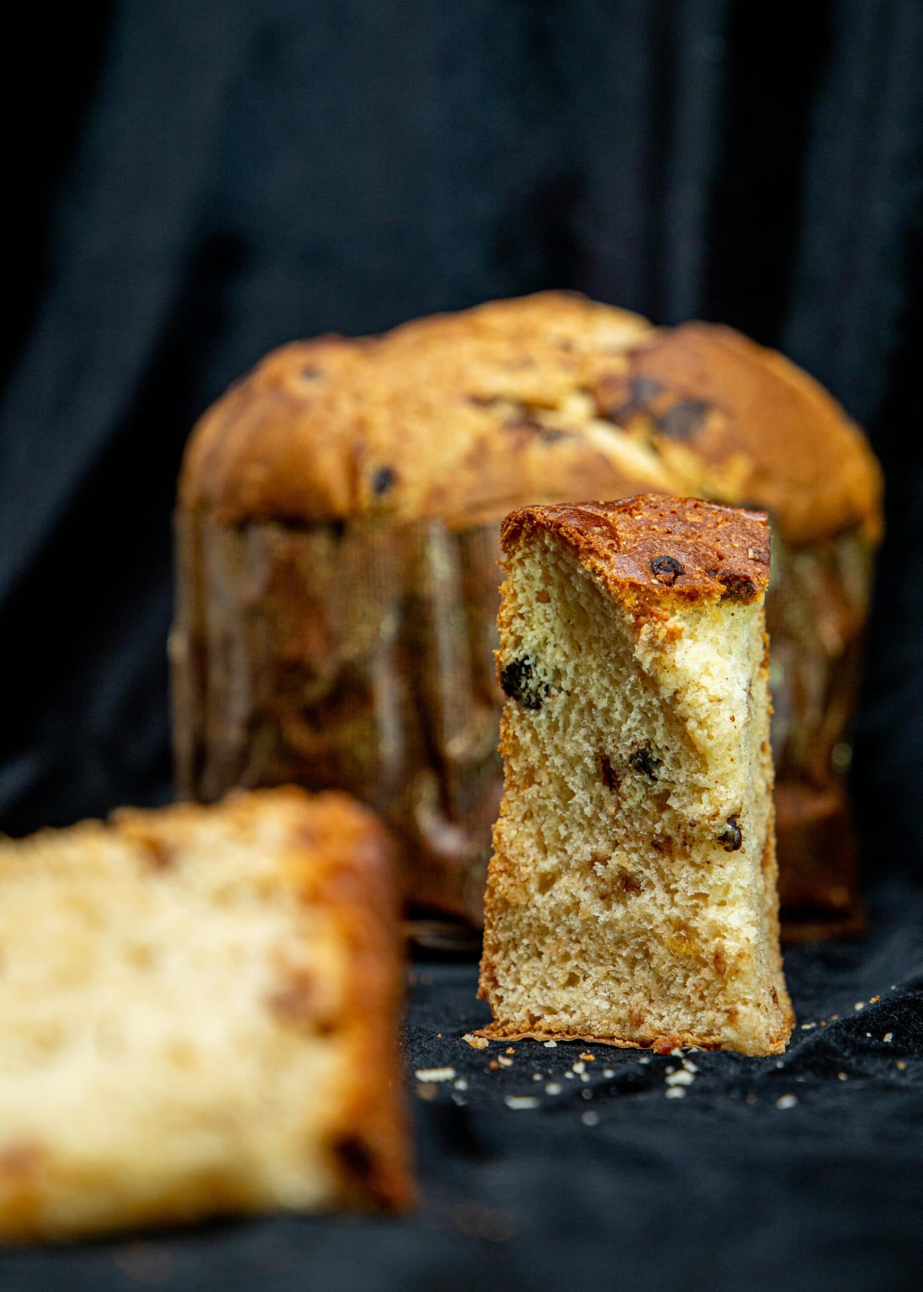 Panettone on a dark background