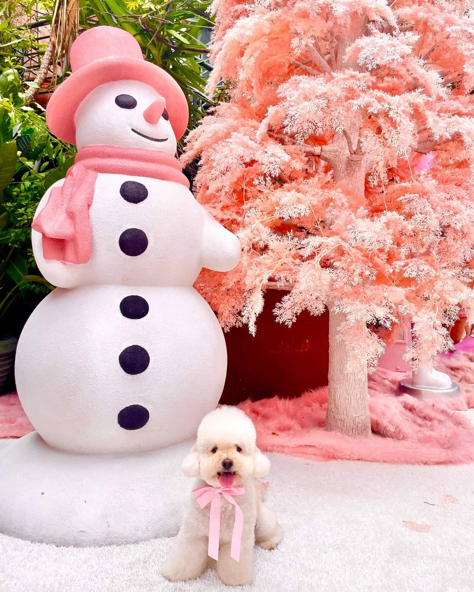 A dog with a pink bow around its neck standing in front of a pink Christmas tree and a snowman at the grounds of alexandria 