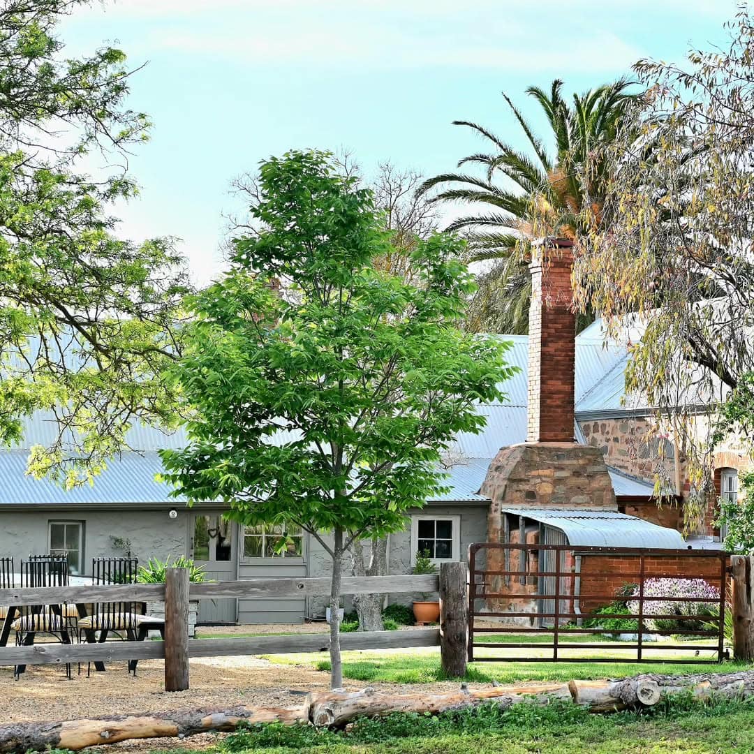 1858 barossa valley accommodation
