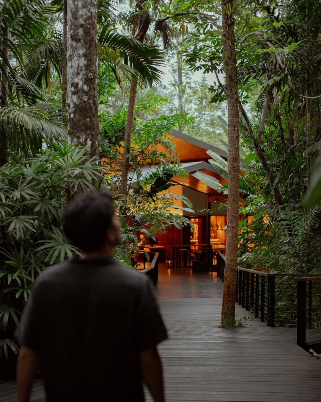 silky oaks lodge queensland 
