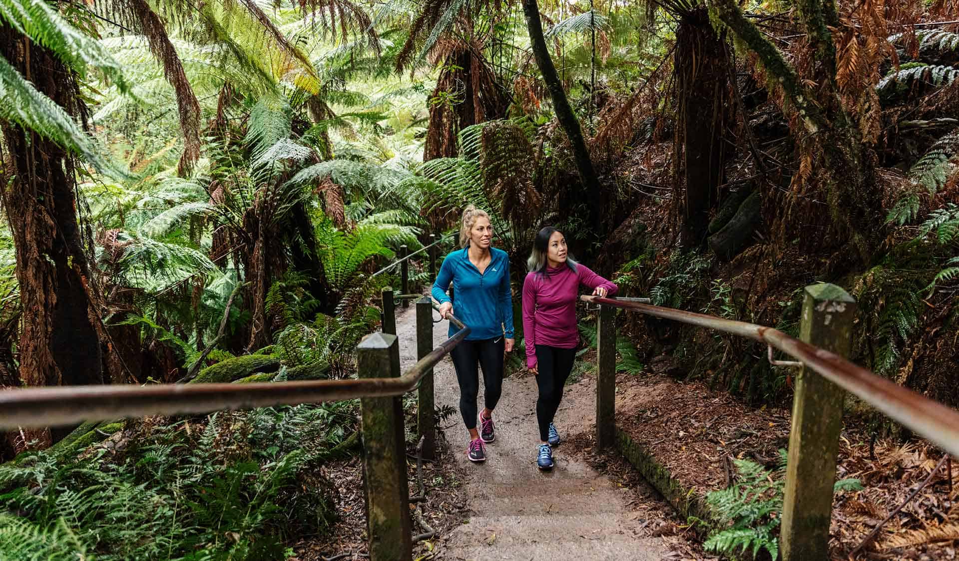 1000 Steps Kokoda Memorial Trail (Image Credit: Visit Victoria)